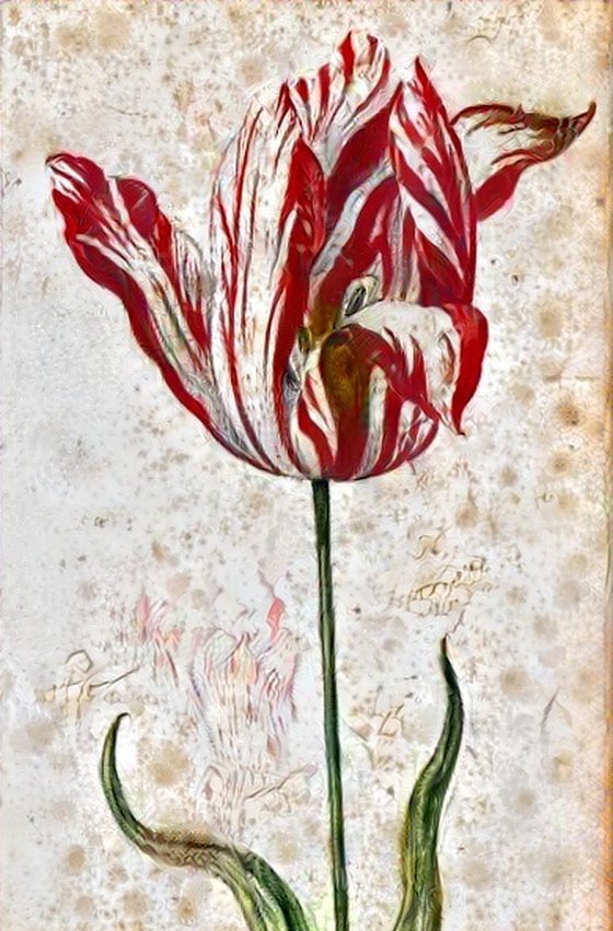 Non Fungible Tulip #13