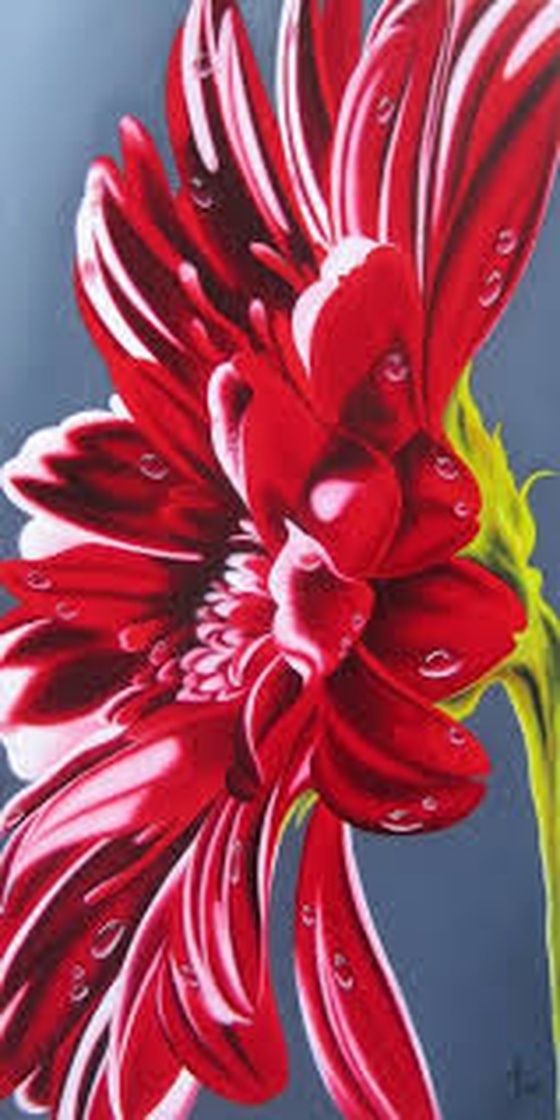 RED flover
