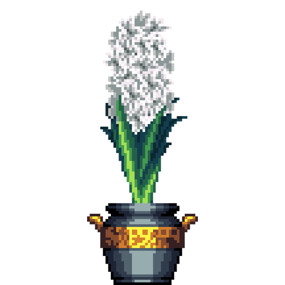 White Hyacinth in Greek Vase pot