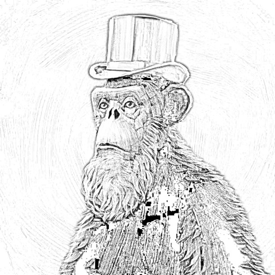 Sketchy Old Ape #273