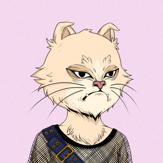 Angry Cat #2369