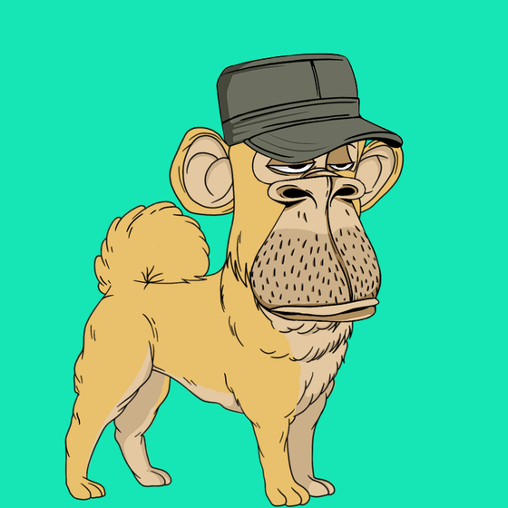 Kennel Ape #2016