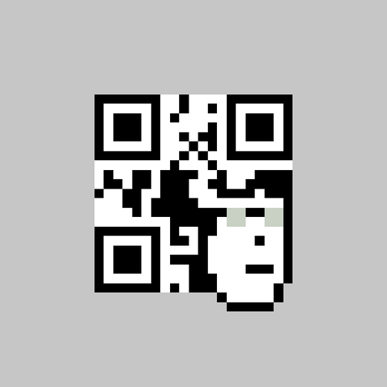 QR Pixels #2355