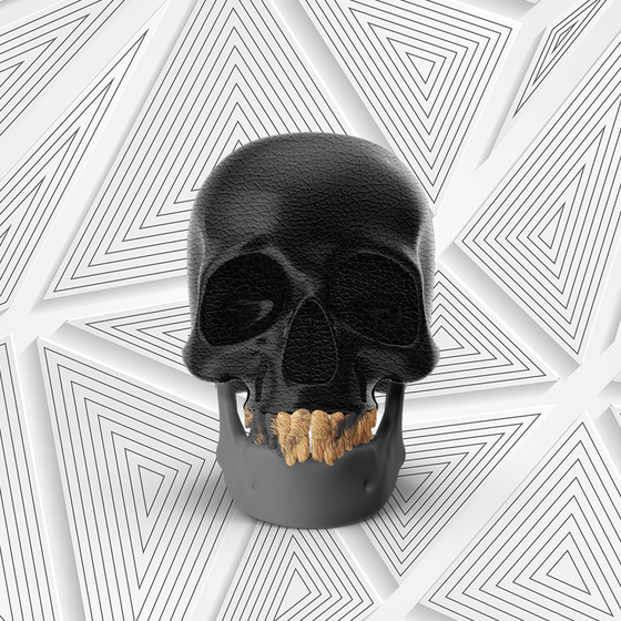 Skull #744