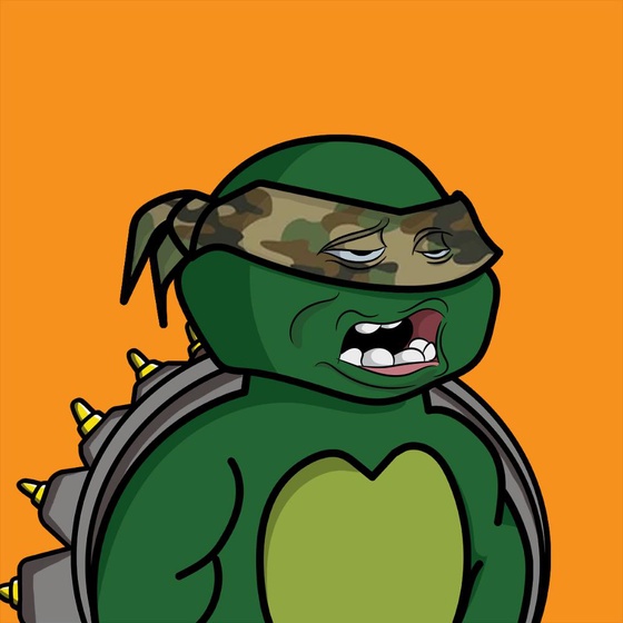 Degen Ninja Turtle #998