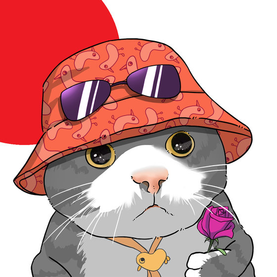Puzzled cat #41