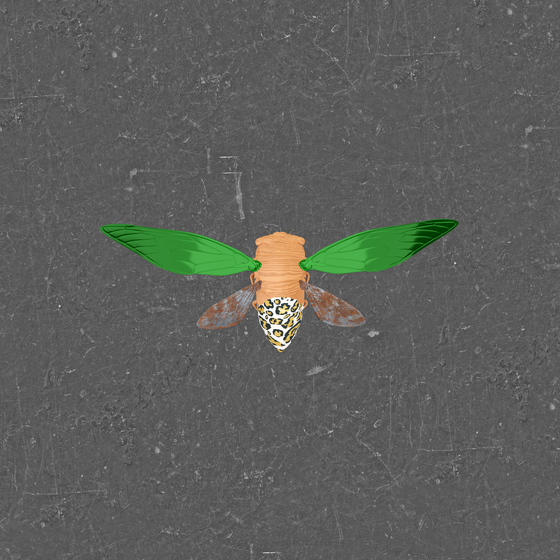 Cicadas #338