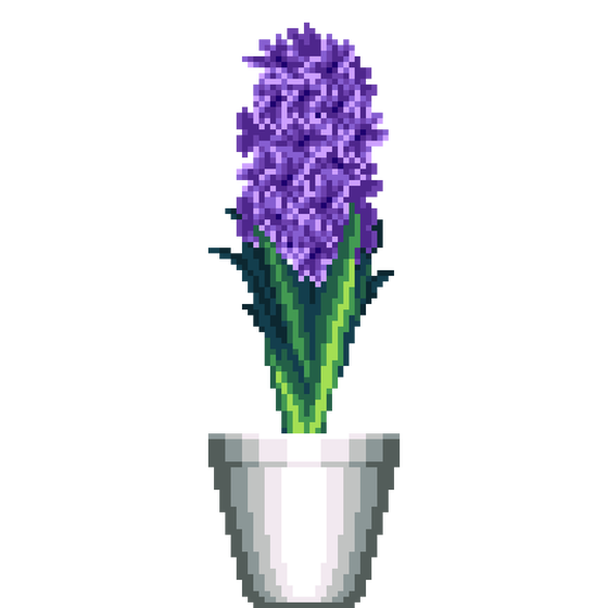 Purple Hyacinth in Cone pot