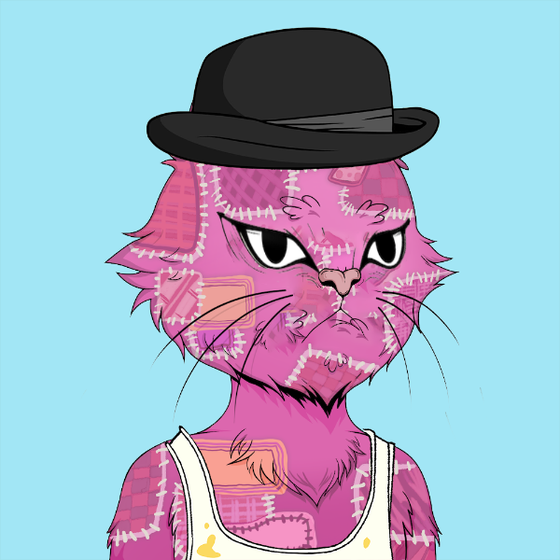 Angry Cat YC #304