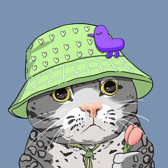 Puzzled cat #3377