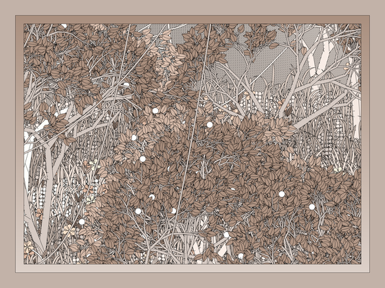 Entangled #339