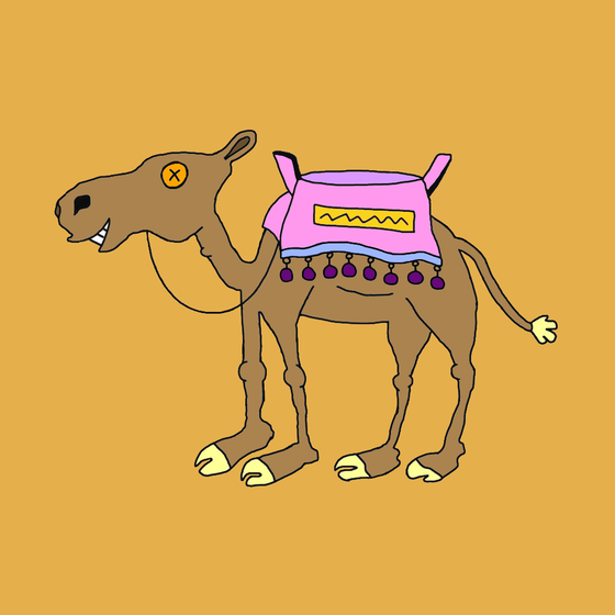 Chilled Camel #63