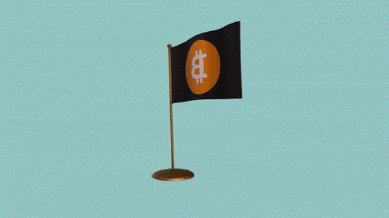 Digitible NFT Bitcoin Flag "Fly it High"