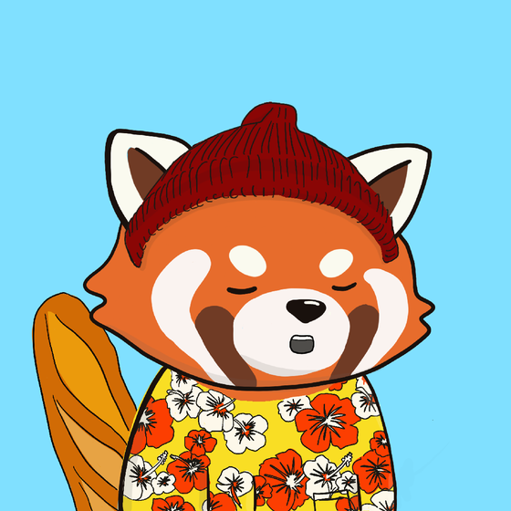 Okay Red Panda #483