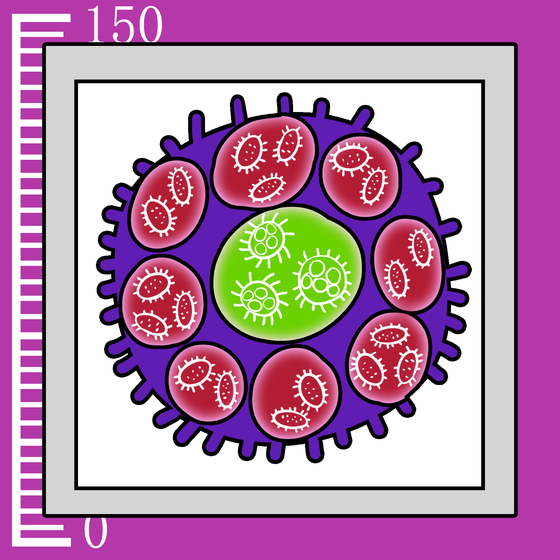 430