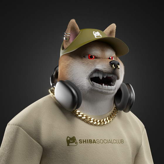 Shiba #702