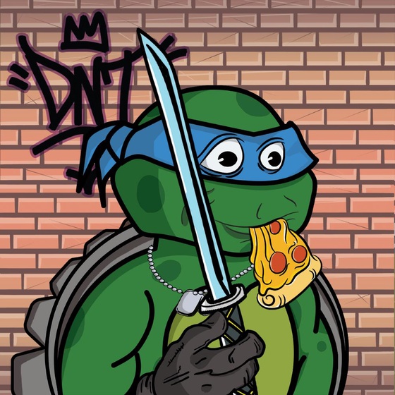 Degen Ninja Turtle #4653