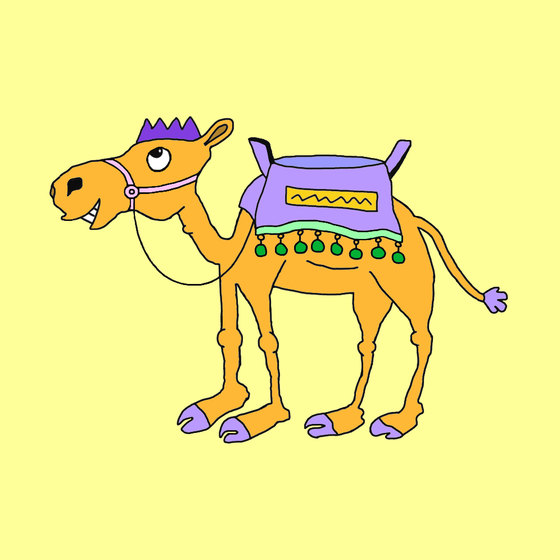 Chilled Camel #1