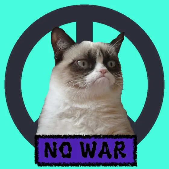 War, peace, and cat #528