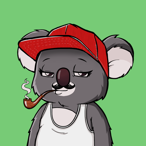 Koala Agent #146