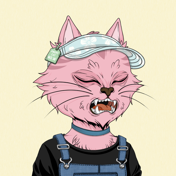 Angry Cat #1933
