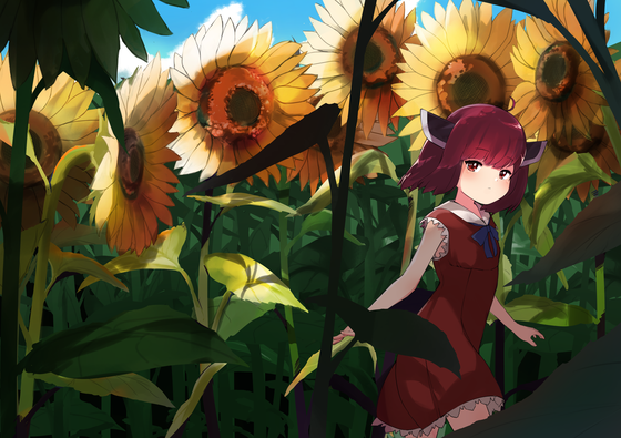 Sunflowers and Kiritan