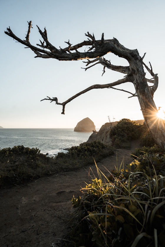 Framed By Nature