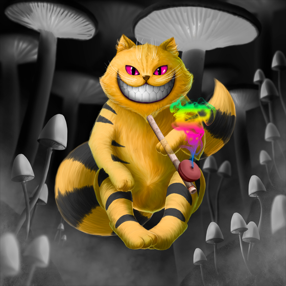 Opium Cheshire cat DNA#1196032