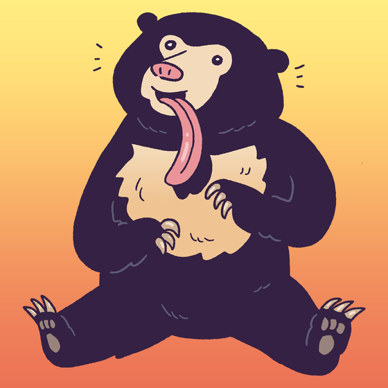 Sun Bear #275