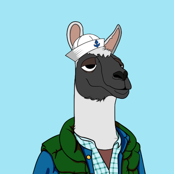 OKay Llama Yacht Club #2768