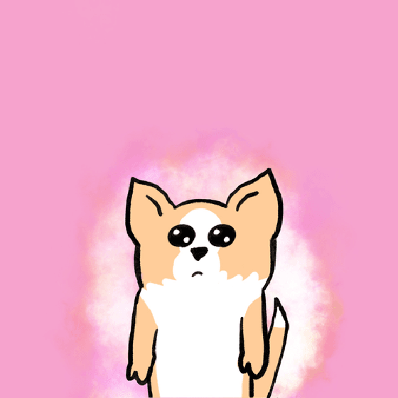 Smoothchihuahua Cream normal ver. #008