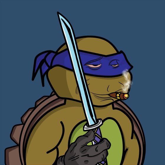 Degen Ninja Turtle #5097