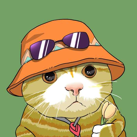 Puzzled cat #4380