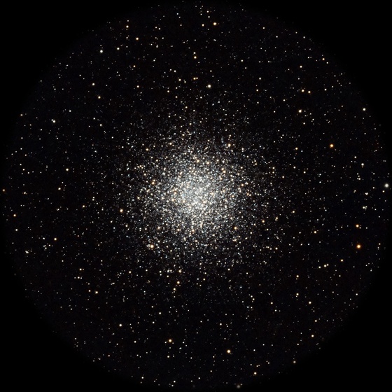 M55