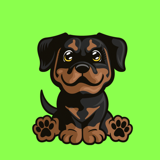 Rottweiler 0140