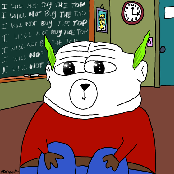 BOBO #586