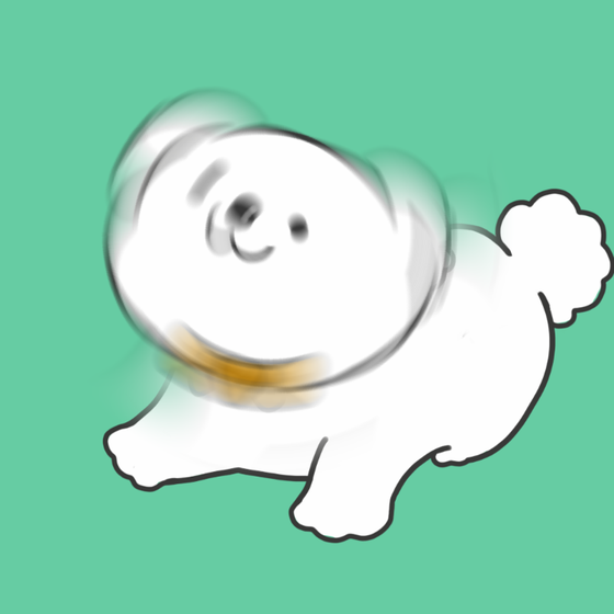 DogDrill#653
