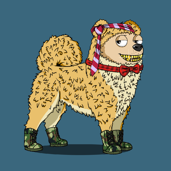 y00ts Canine Club #66