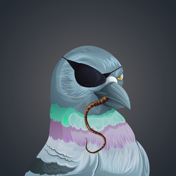 #3272 Pigeon