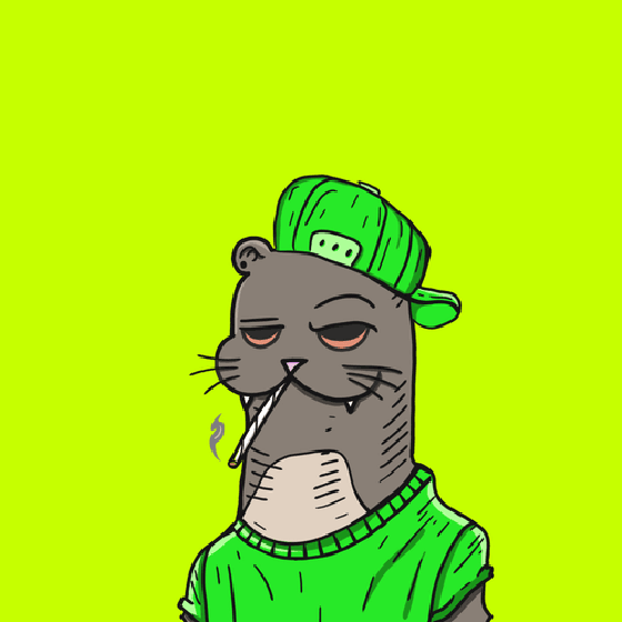 Otter #343