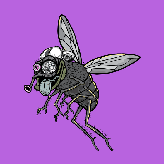 Funky Fly #1000