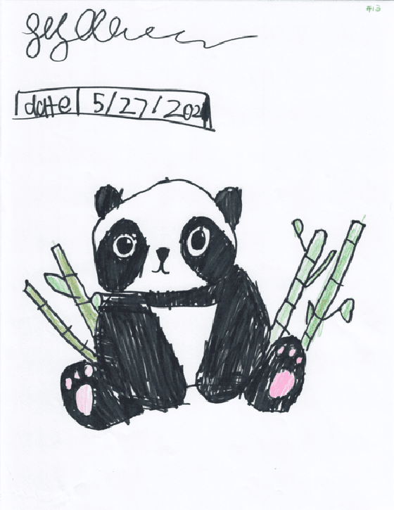 #013 Panda