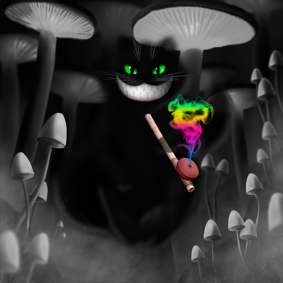 Opium Cheshire cat DNA#180224