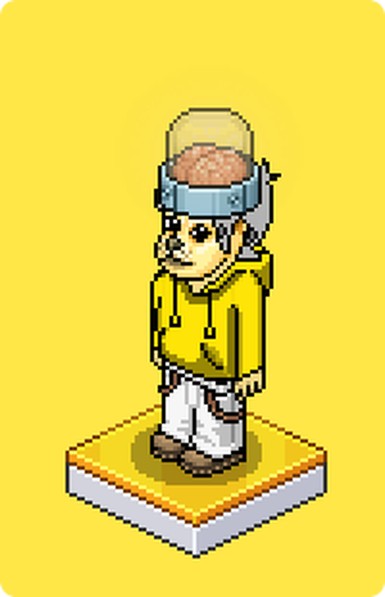 Habbo #919