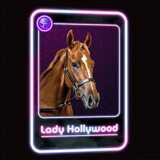 Lady Hollywood Jockey Club #93