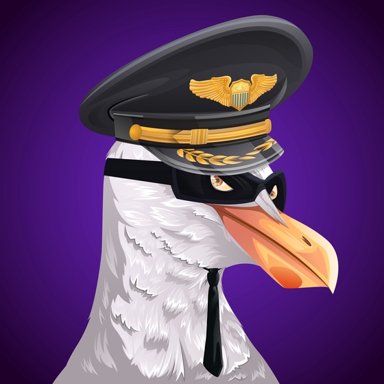 #70 Seagull