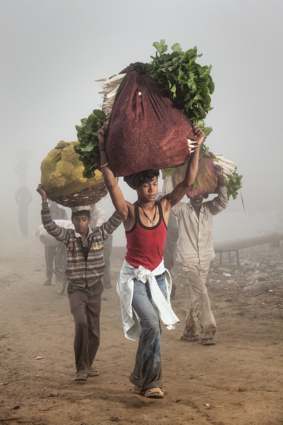 Men carrying vegetables; at the Yamuna River, Uttar Pradesh #3/8