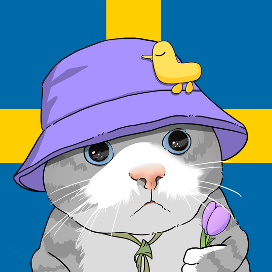 Puzzled cat #1708