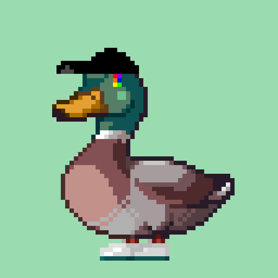 Mallard #2899