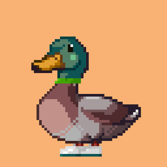 Mallard #9041